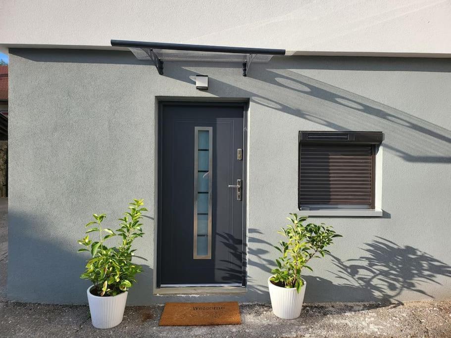 Appartement T2 Frangy Dış mekan fotoğraf