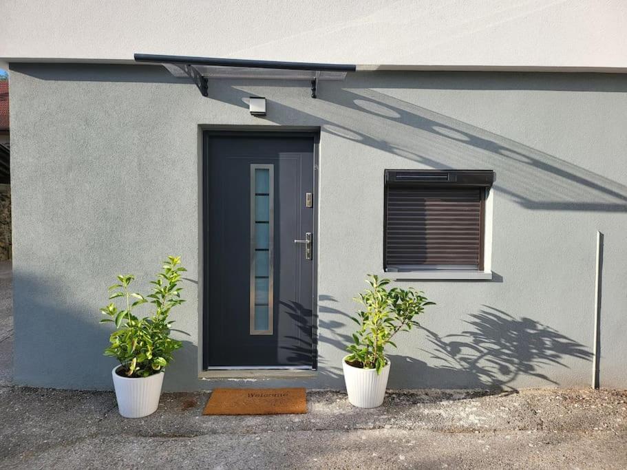 Appartement T2 Frangy Dış mekan fotoğraf